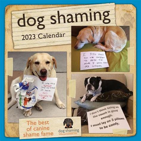 Dog Shaming Calendar